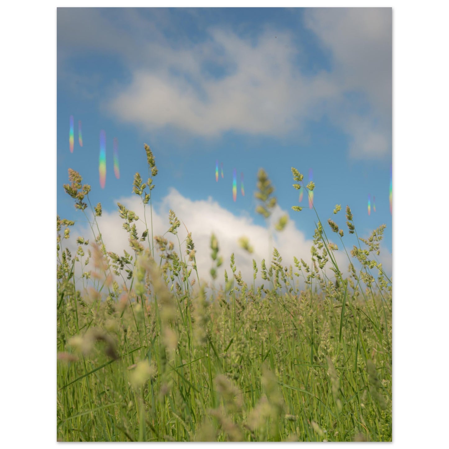 8d14ee4a-cb5c-4bc2-ad3b-0e5dcc5a1388