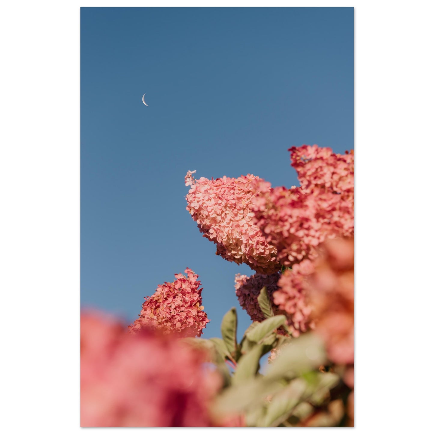 f15db265-083c-432e-9fcc-c628163e0c37